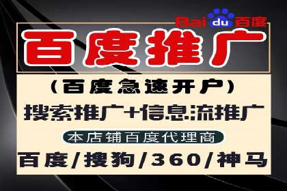 SEM运营公司案例研究：广告创意与执行